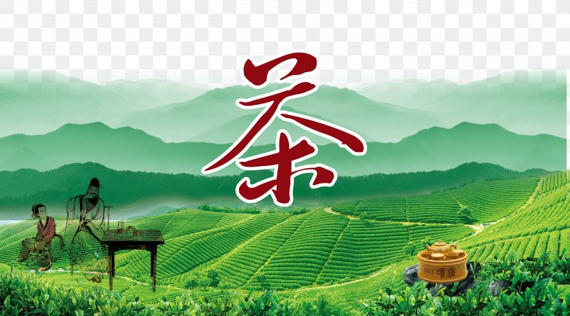 Green Tea Poster, PNG, 3189x1772px, Tea, Agriculture, Brand, Chinoiserie, Farm Download Free
