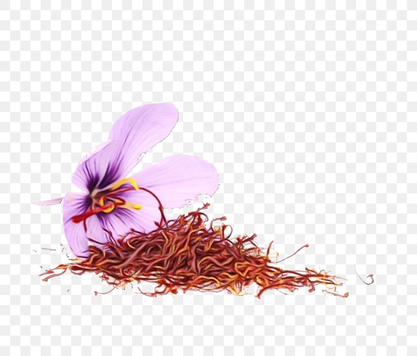 Iranian Cuisine Saffron Spice Food, PNG, 700x700px, Iranian Cuisine, Autumn Crocus, Crocus, Flower, Flowering Plant Download Free