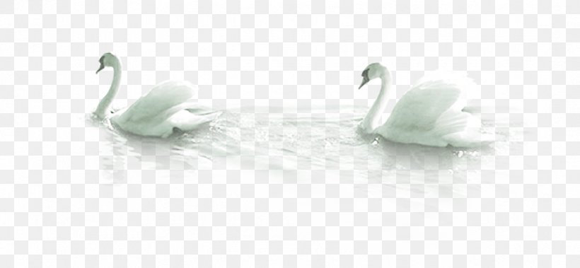 Mute Swan Bird Duck, PNG, 1081x500px, Mute Swan, Beak, Bird, Black And White, Cygnini Download Free