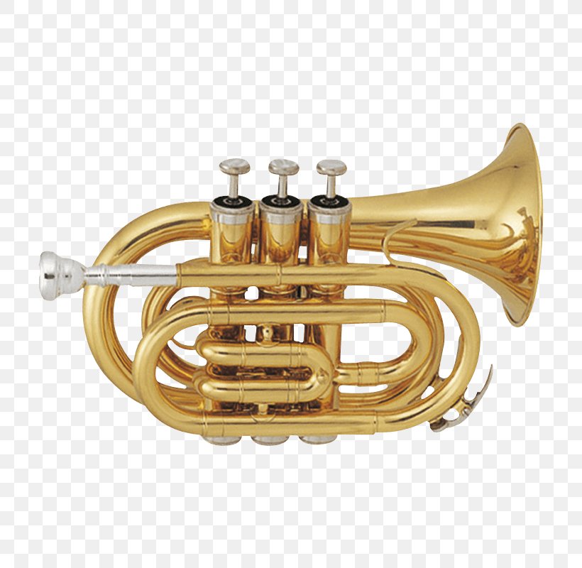 Pocket Trumpet Cornet Wind Instrument Brass Instruments, PNG, 800x800px, Watercolor, Cartoon, Flower, Frame, Heart Download Free