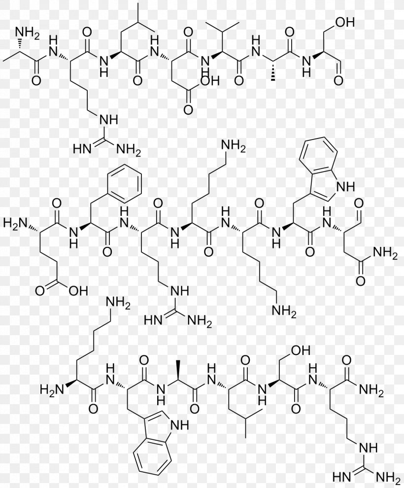 Adrenomedullin /m/02csf Peptide Car Point, PNG, 1239x1496px, M02csf, Area, Auto Part, Biotechnology, Black And White Download Free