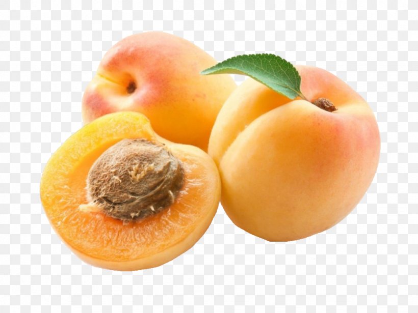 Apricot Oil Juice Dried Apricot Peach, PNG, 1024x768px, Apricot, Apricot Kernel, Apricot Oil, Aprium, Cherry Download Free