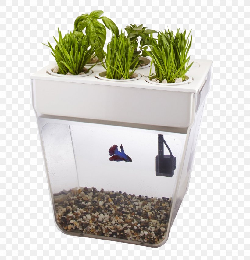 Aquaponics Water Garden Aquarium Back To The Roots, PNG, 1441x1500px, Aquaponics, Aquarium, Aquarium Filters, Back To The Roots, Fish Download Free