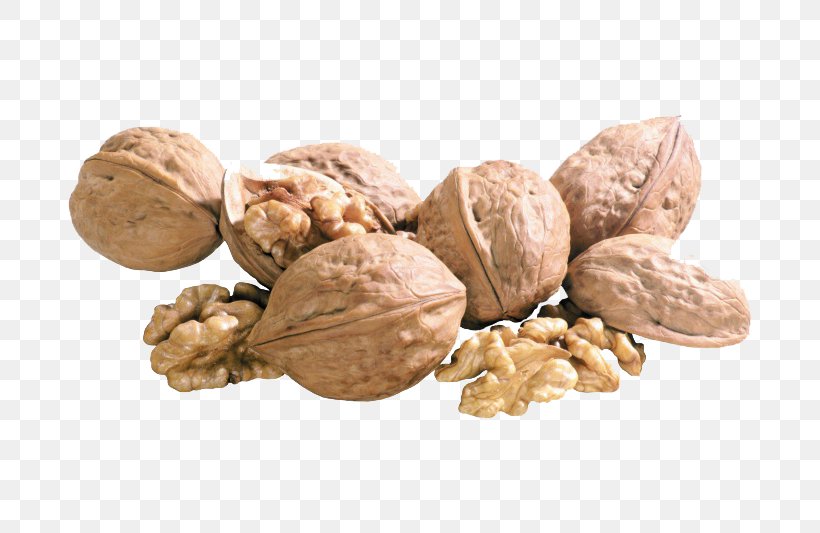 English Walnut Dried Fruit, PNG, 760x533px, Nut, Almond, Commodity, Dried Fruit, English Walnut Download Free