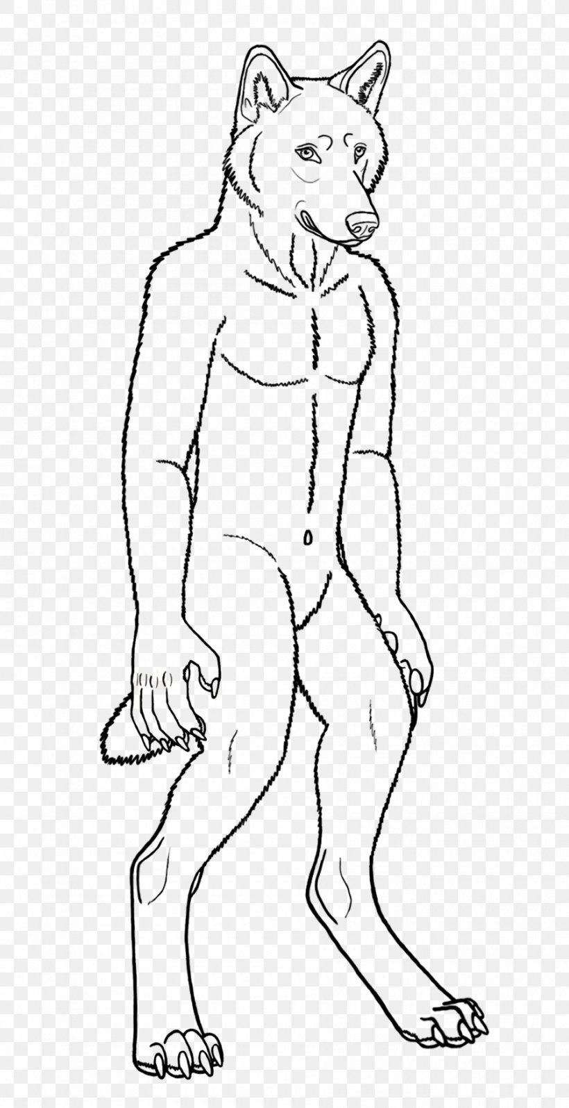 Line Art Gray Wolf Drawing Werewolf Cartoon Png 900x1751px Line