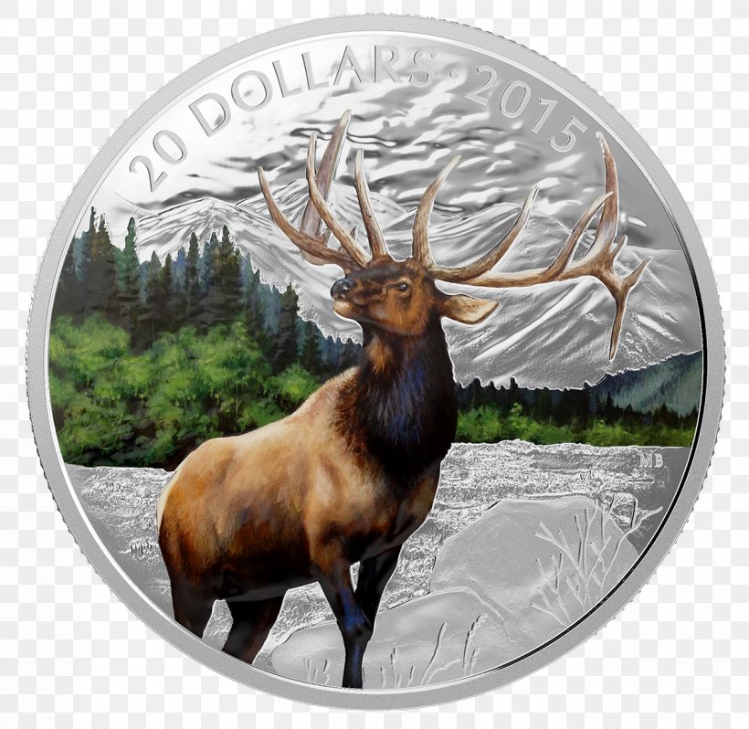 Majestic Elk Deer Silver Coin, PNG, 1198x1166px, Elk, Antler, Bullion Coin, Canada, Coin Download Free