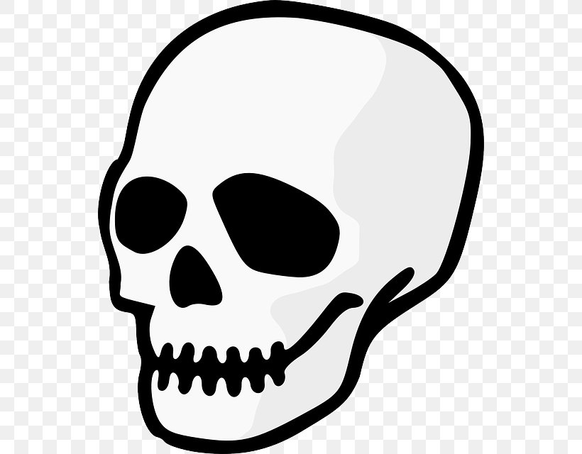 Skull Clip Art, PNG, 544x640px, Skull, Artwork, Black And White, Bone, Drawing Download Free