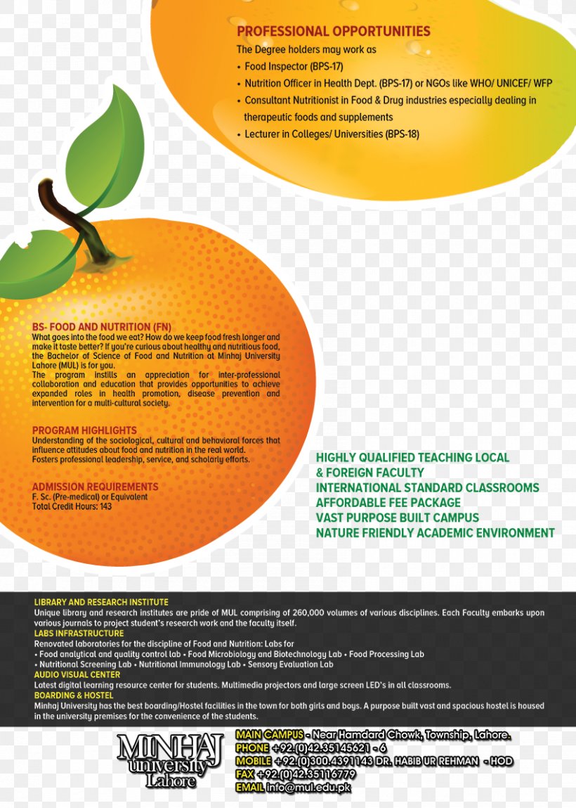 Advertising Brand Brochure Font, PNG, 850x1192px, Advertising, Brand, Brochure, Orange, Text Download Free