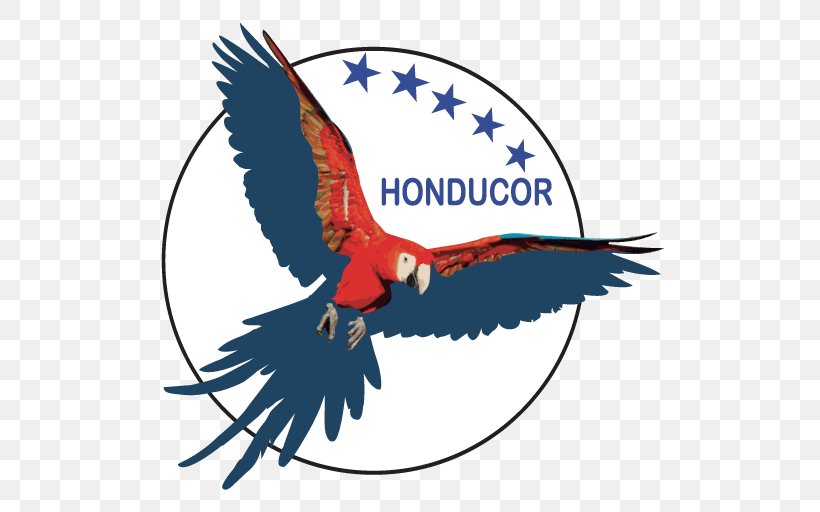 Android Application Package Honducor Mobile App Honduras, PNG, 512x512px, Android, Accipitriformes, Android Ice Cream Sandwich, Bald Eagle, Beak Download Free