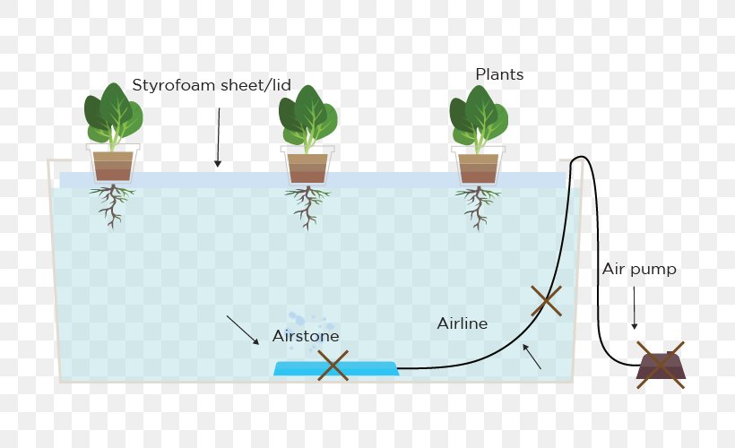 Deep Water Culture Hydroponics Ebb And Flow Airstone Nutrient Film Technique, PNG, 807x500px, Deep Water Culture, Airstone, Brand, Concept, Diagram Download Free