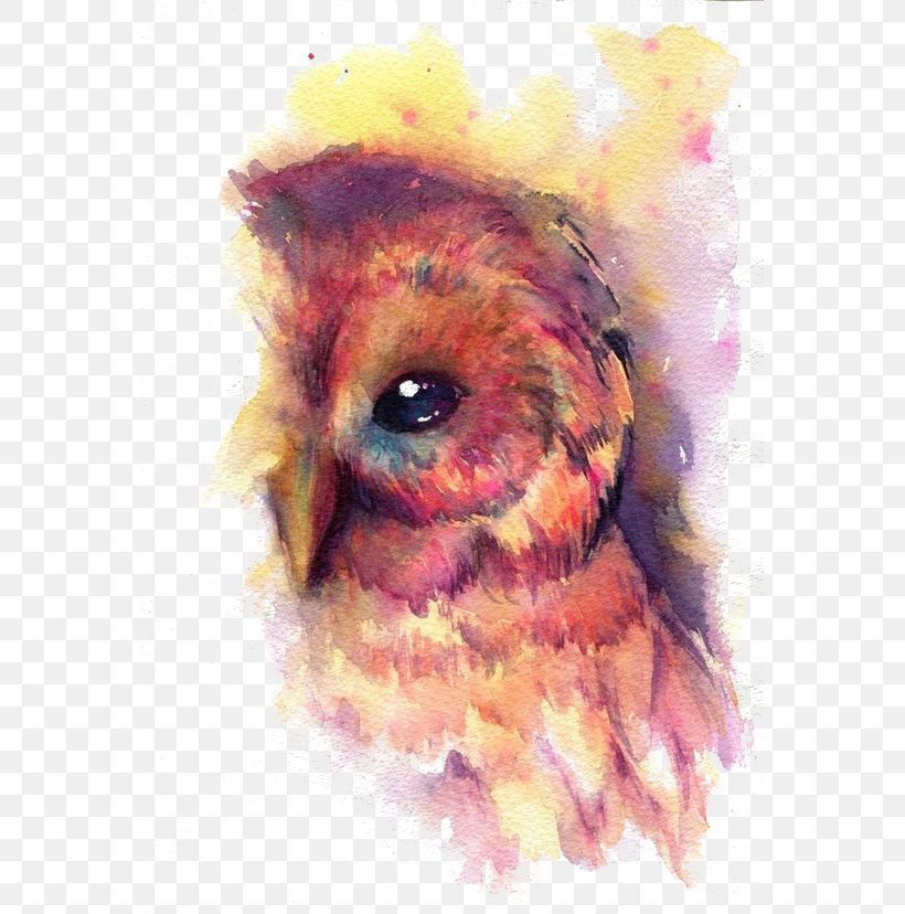 Owl Bird Watercolor Painting Art, PNG, 564x828px, Owl, Art, Art Museum, Beak, Bird Download Free