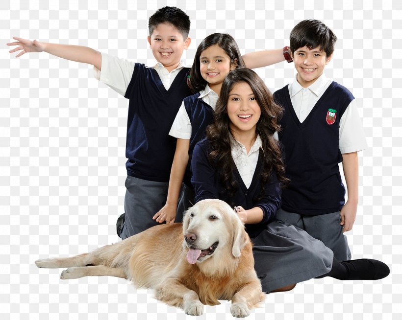 Reedley International School Education Dog Breed, PNG, 1493x1191px, Reedley International School, Carnivoran, Companion Dog, Dog, Dog Breed Download Free