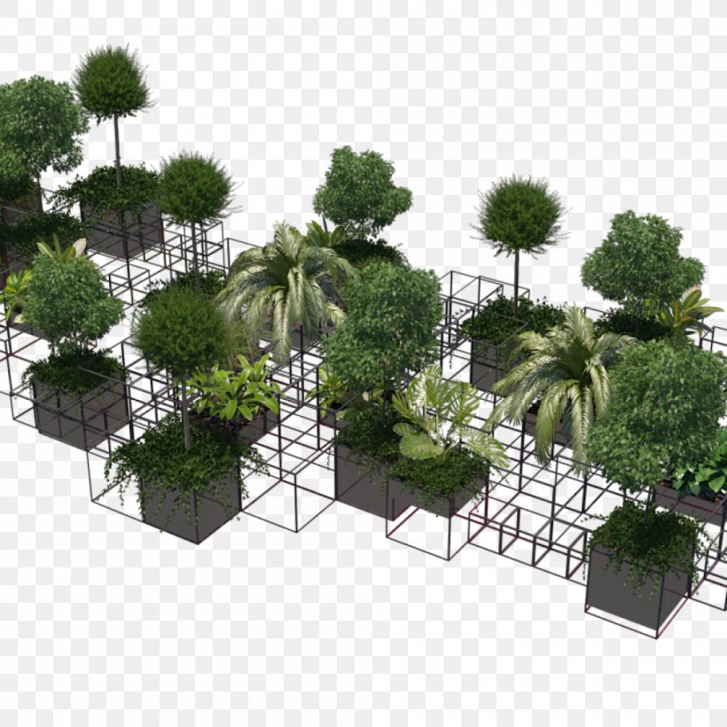 Tree Flowerpot Houseplant Shrub, PNG, 1000x1000px, Tree, Evergreen, Flowerpot, Grass, Houseplant Download Free