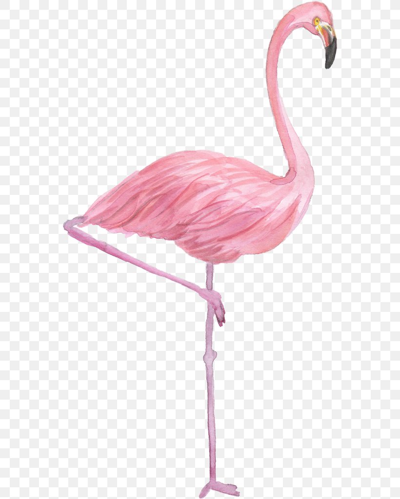 Flamingo Drawing Watercolor Painting, PNG, 567x1024px, Flamingo, Art, Art Museum, Beak, Bird Download Free