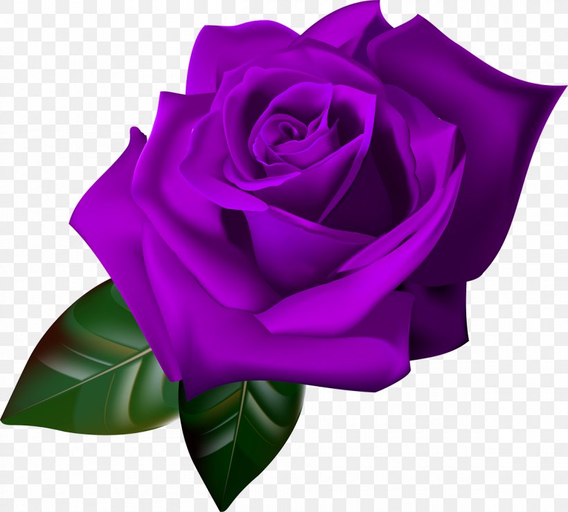 Flower Garden Roses, PNG, 1200x1083px, Flower, Blue, Cut Flowers, Floral Design, Flowering Plant Download Free