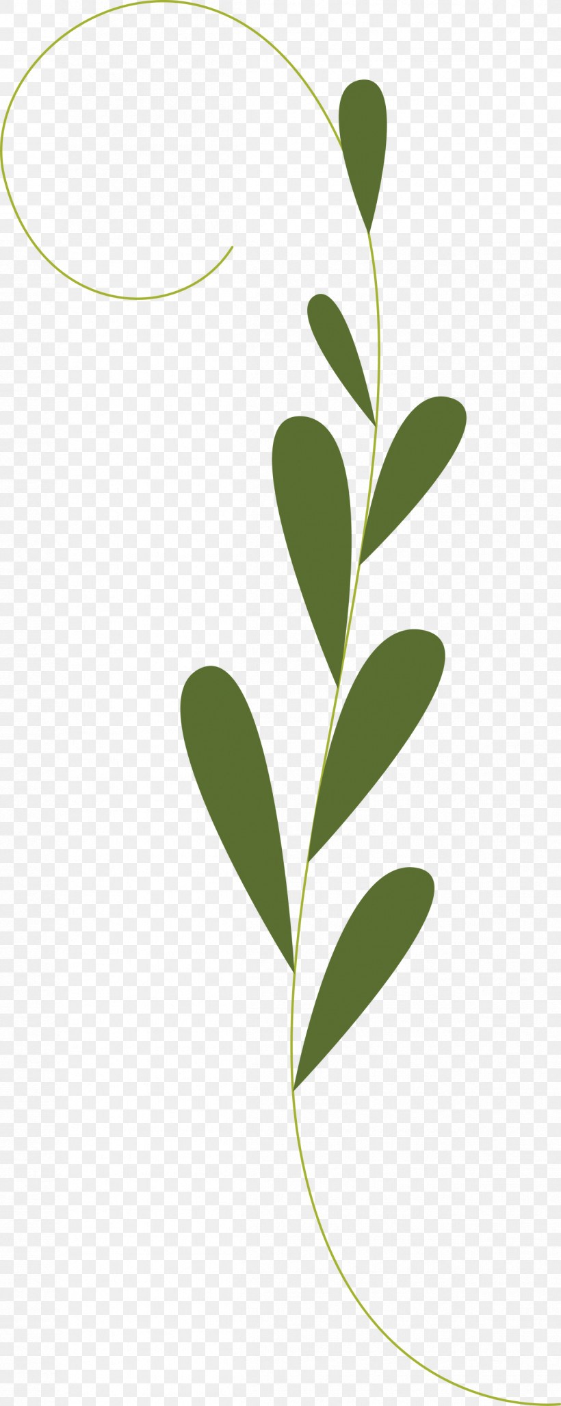 Leaf Plant Stem Flora Tree Meter, PNG, 1198x3000px, Leaf, Biology, Branching, Flora, Flower Download Free