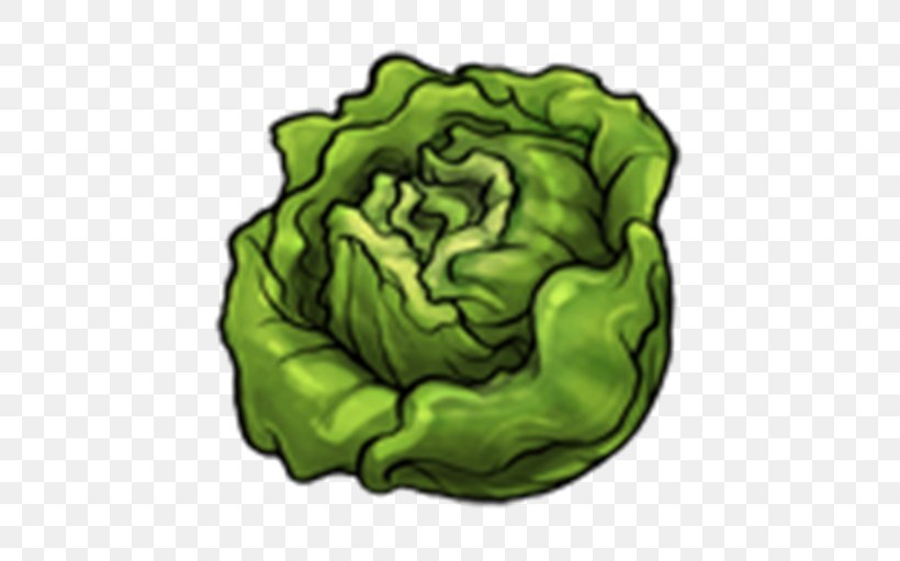 Lettuce Vegetable T-shirt Gratis Capitata Group, PNG, 512x512px, Watercolor, Cartoon, Flower, Frame, Heart Download Free