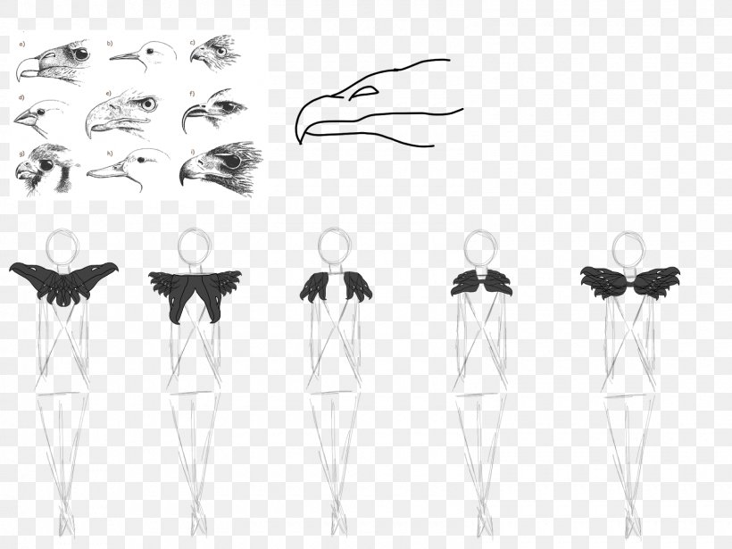 /m/02csf Product Design Bird Drawing, PNG, 1600x1200px, Bird, Beak, Black, Black And White, Drawing Download Free