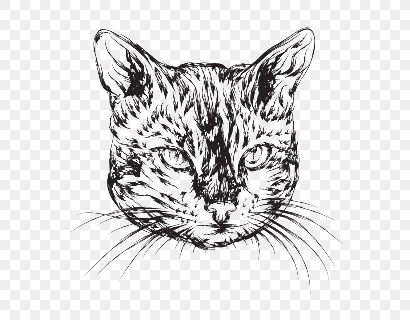 Whiskers Wildcat Tiger Tabby Cat, PNG, 640x640px, Whiskers, American Wirehair, Artwork, Blackandwhite, Carnivore Download Free