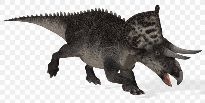 Zuniceratops Triceratops Late Cretaceous Horned Dinosaurs, PNG, 900x455px, Zuniceratops, Animal Figure, Chasmosaurus, Cretaceous, Dinosaur Download Free