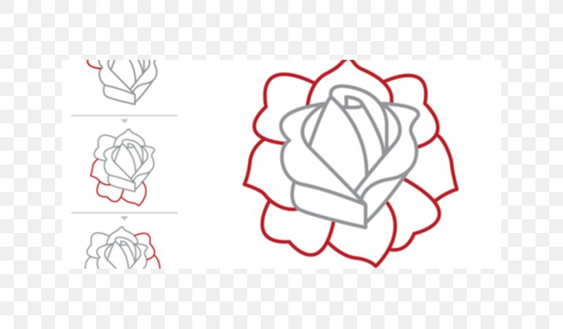 Drawing Rose Line Art Sketch, PNG, 640x480px, Watercolor, Cartoon, Flower, Frame, Heart Download Free