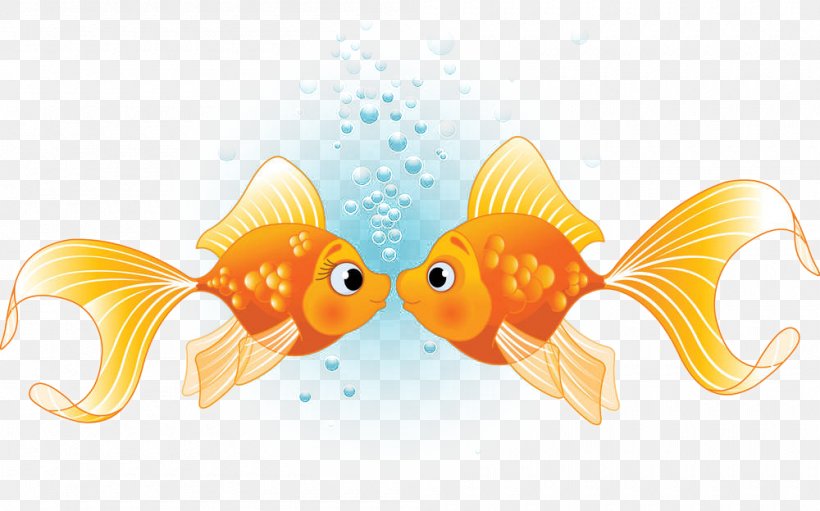 Fish Kissing Gourami Illustration, PNG, 1000x624px, Fish, Goldfish, Kiss, Kissing Gourami, Love Download Free