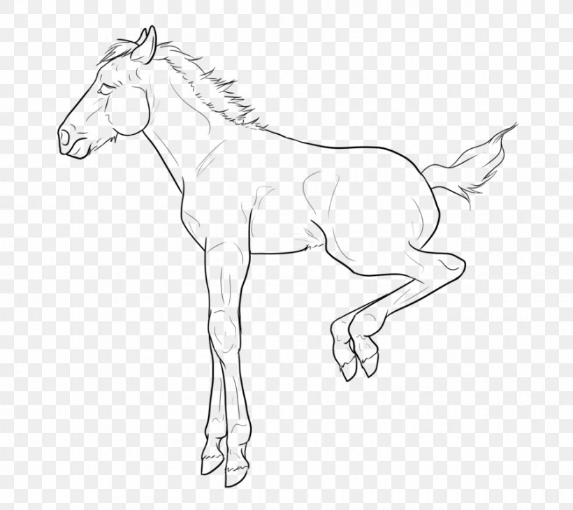 Foal Mule Thoroughbred Line Art Mustang, PNG, 900x802px, Foal, Animal Figure, Arm, Artwork, Black And White Download Free