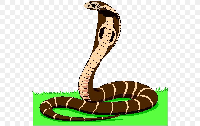 Snake Animated Film Clip Art, PNG, 560x519px, Snake, Animated Film, Cartoon, Cobra, Computer Animation Download Free