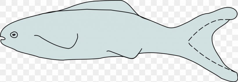 Thelodonti Late Devonian Extinction Jawless Fish, PNG, 1024x354px, Thelodonti, Cartilaginous Fish, Devonian, Dolphin, Encyclopedia Download Free