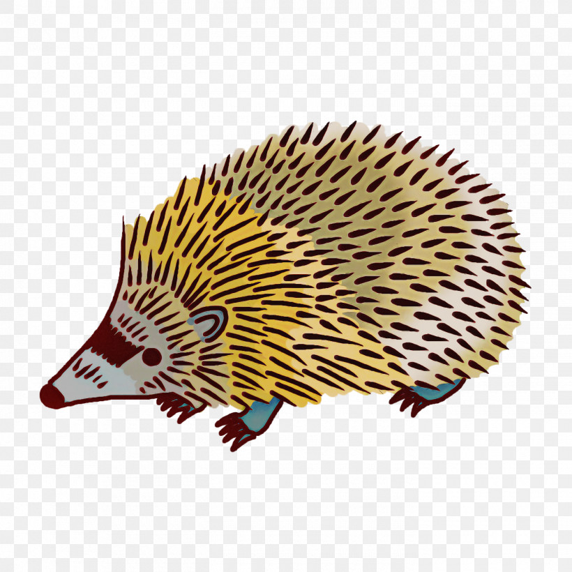 Domesticated Hedgehog Hedgehog Echidnas Cartoon Porcupine, PNG, 1400x1400px, Domesticated Hedgehog, Cartoon, Drawing, Echidnas, Erinaceidae Download Free