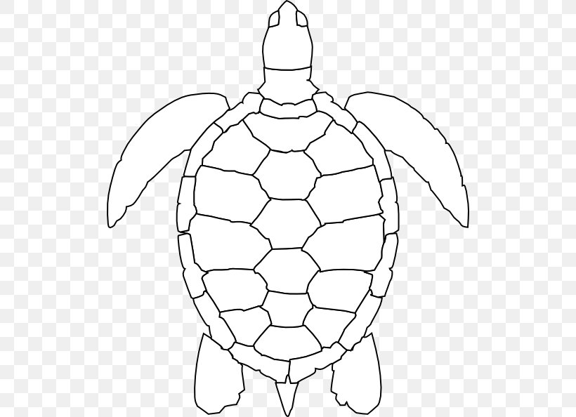 Green Sea Turtle Drawing Clip Art, PNG, 516x594px, Turtle, Animal, Area, Artwork, Ball Download Free