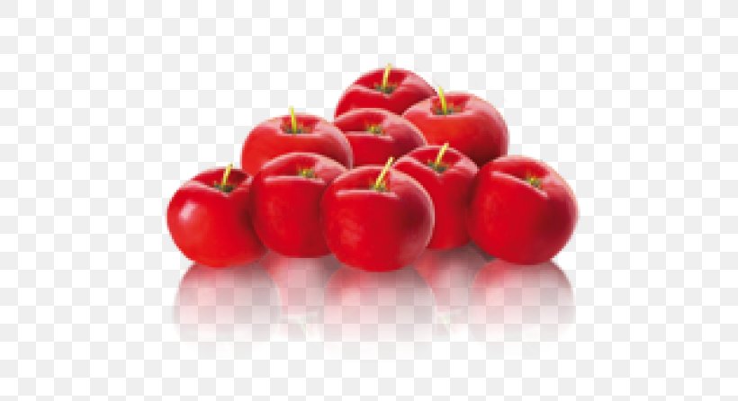 Juice Tomato Fruit Barbados Cherry Cranberry, PNG, 600x446px, Juice, Accessory Fruit, Acerola, Acerola Family, Apple Download Free