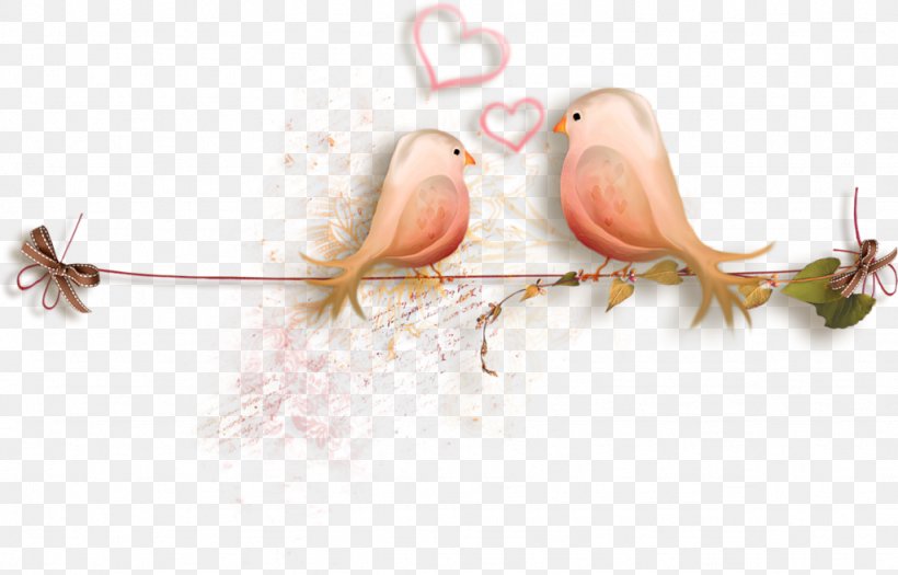 Love, PNG, 1024x656px, Love, Beak, Bird, Branch, Feather Download Free