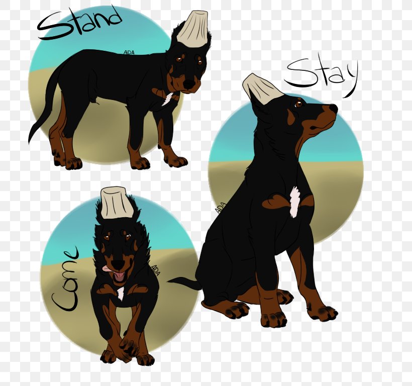 Ormskirk Terrier Dobermann Miniature Pinscher Australian Kelpie German Pinscher, PNG, 768x768px, Dobermann, Australia, Australian Cattle Dog, Australian Kelpie, Australians Download Free