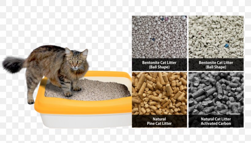 Whiskers Cat Litter Trays Pet Fur, PNG, 1024x584px, Whiskers, Box, Cat, Cat Like Mammal, Cat Litter Trays Download Free