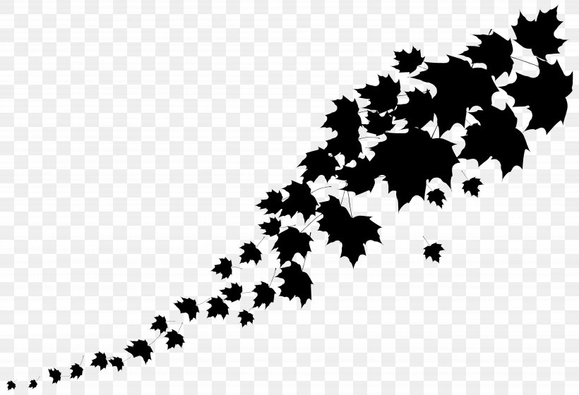 Font Point Pattern Leaf Flowering Plant, PNG, 5187x3547px, Point, Black M, Blackandwhite, Branch, Flowering Plant Download Free