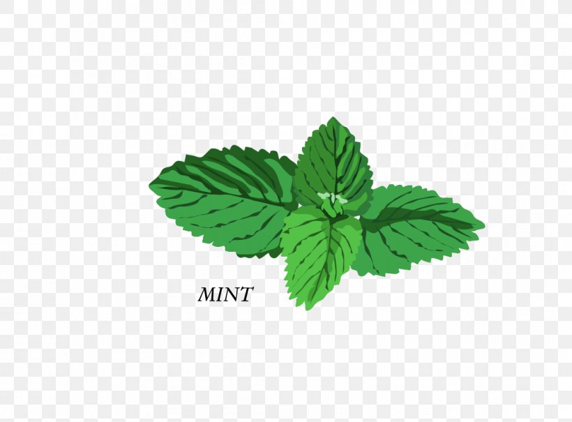 Herb Basil Mint Clip Art, PNG, 1057x781px, Herb, Art, Basil, Grass, Green Download Free