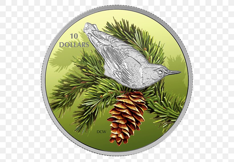 Bird Silver Coin Silver Coin Nuthatch, PNG, 570x570px, Bird, Beak, Branch, Canada, Christmas Ornament Download Free