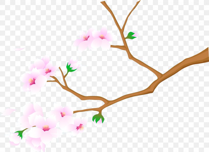 Cherry Blossom University, PNG, 1576x1149px, Cherry Blossom, Blossom, Branch, Document, Flower Download Free
