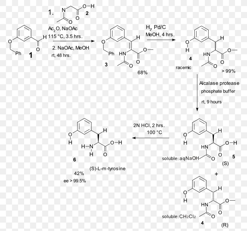 Erlenmeyer–Plöchl Azlactone And Amino-acid Synthesis Amino Acid Synthesis Tyrosine, PNG, 768x768px, Amino Acid, Acetic Anhydride, Acid, Amino Acid Synthesis, Area Download Free