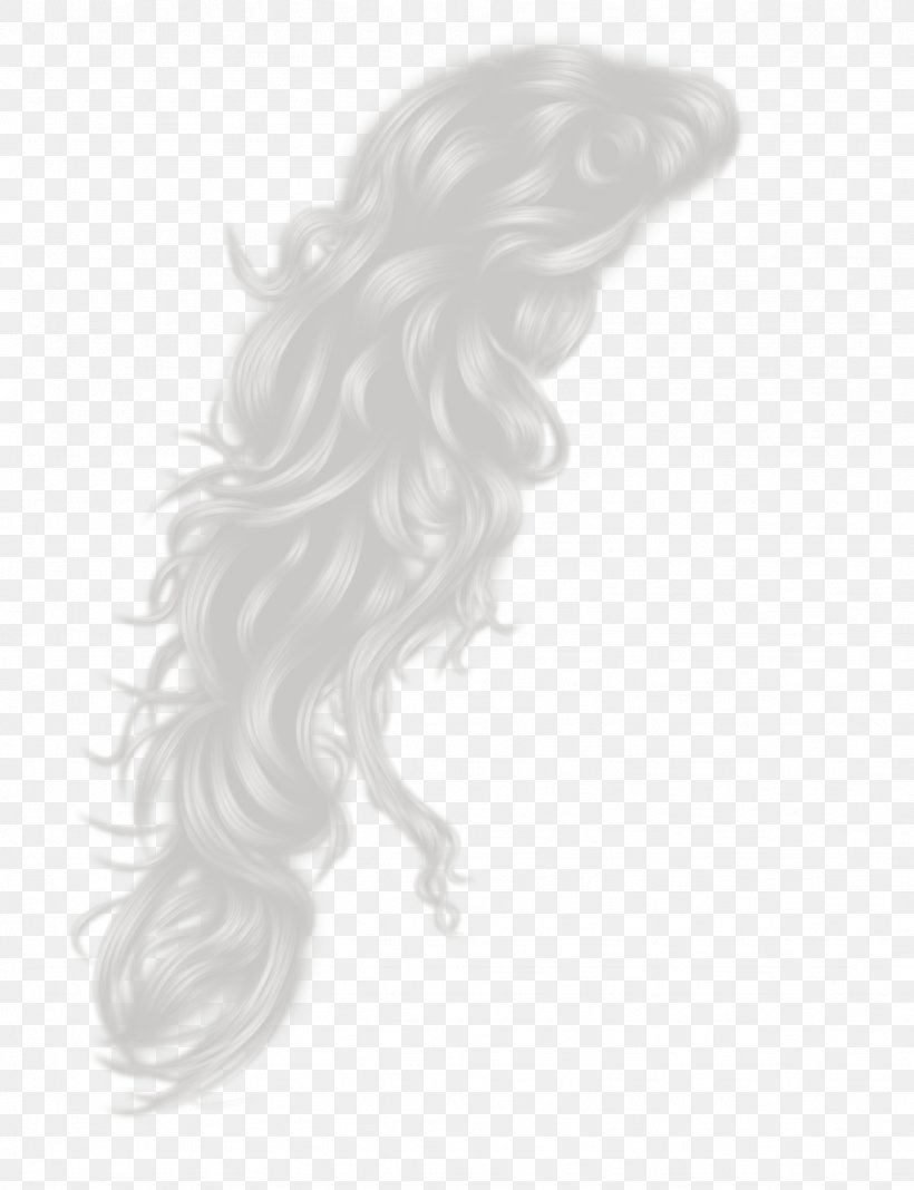 Hairstyle Long Hair Hair Coloring, PNG, 1024x1334px, Hairstyle, Black And White, Black Hair, Braid, Brown Hair Download Free