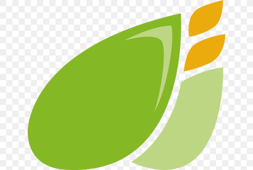 Logo Font, PNG, 640x552px, Logo, Fruit, Grass, Green, Leaf Download Free