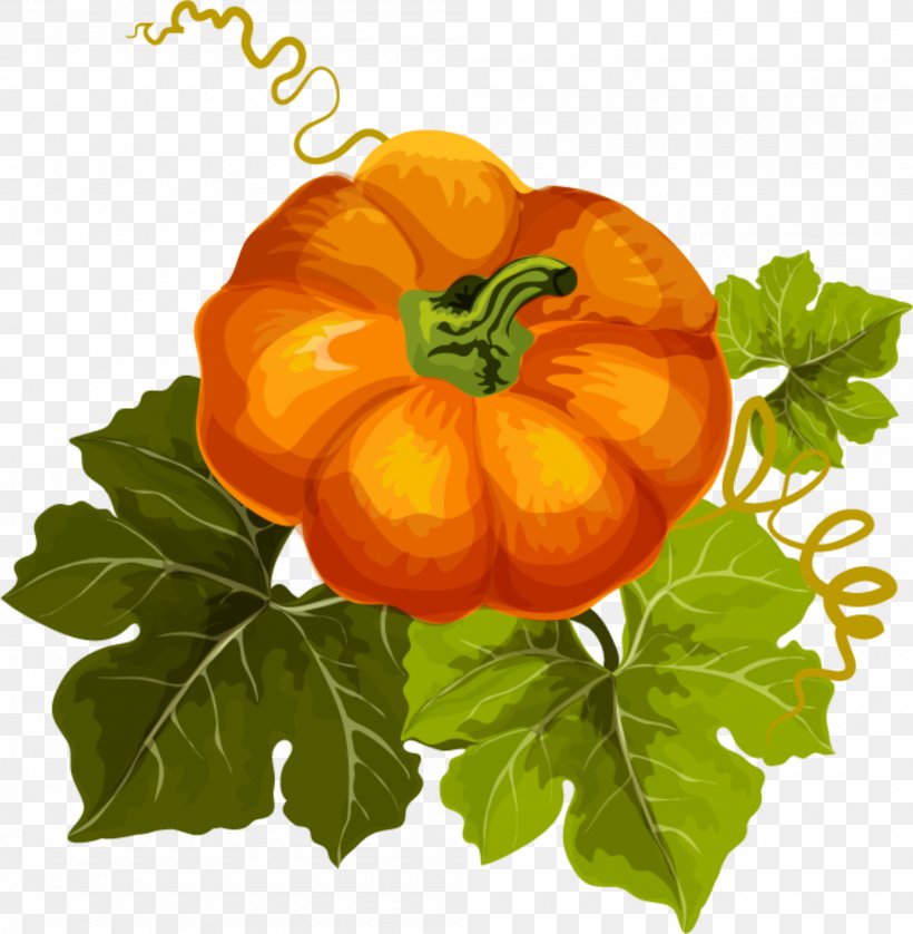 Pumpkin Autumn Design Vegetable Image, PNG, 2000x2044px, Pumpkin, Autumn, Calabaza, Cucurbita, Flower Download Free