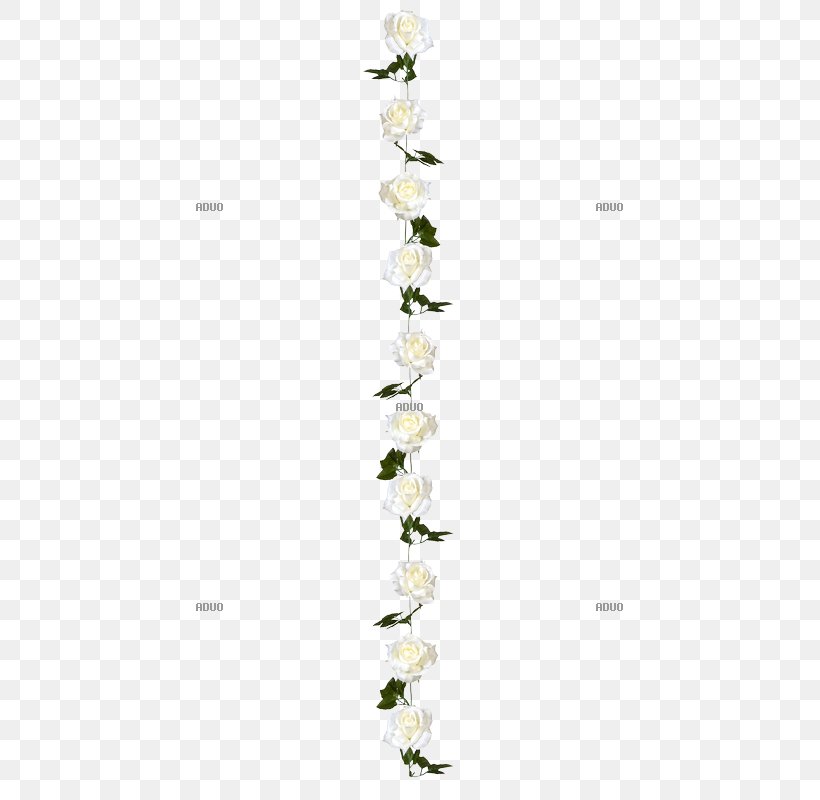 White Cut Flowers Garland Green, PNG, 800x800px, White, Branch, Centimeter, Cut Flowers, Flora Download Free