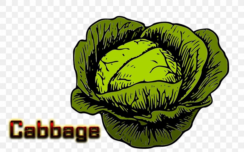 Cabbage Roll Malfouf Salad Clip Art Openclipart, PNG, 1920x1200px, Cabbage, Cabbage Roll, Cauliflower, Curly Kale, Fictional Character Download Free