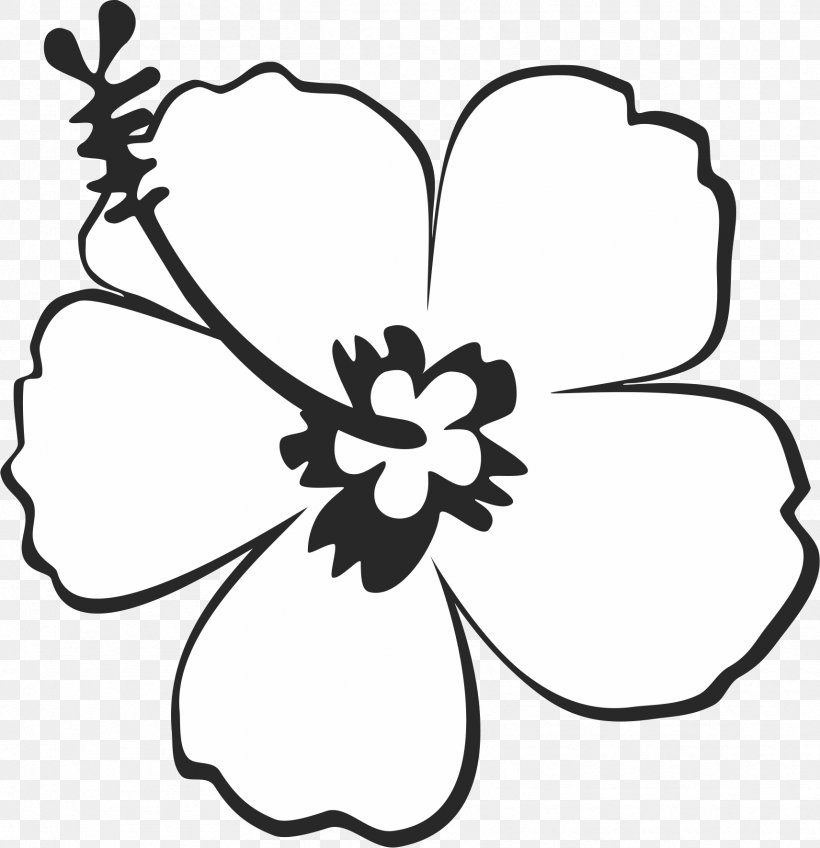 Clip Art Shoeblackplant Image Drawing Flower, PNG, 1712x1771px, Shoeblackplant, Artwork, Black, Black And White, Cut Flowers Download Free