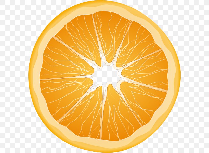 Juice Orange Slice Clip Art, PNG, 598x600px, Juice, Citric Acid, Citrus, Food, Fruit Download Free