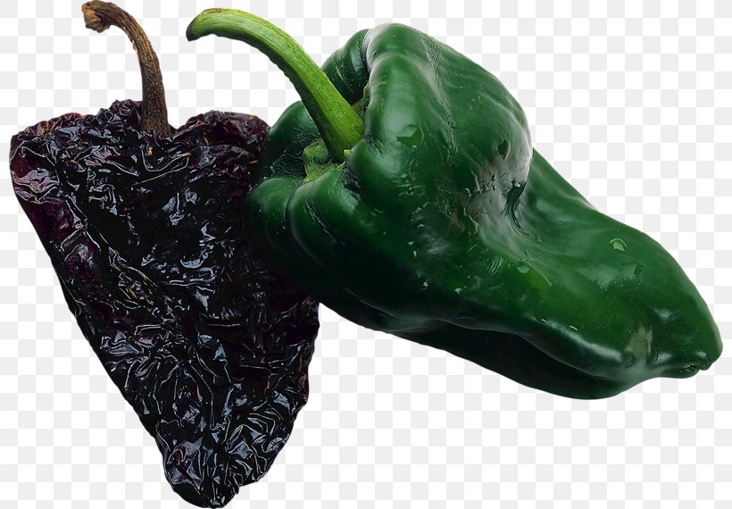 Poblano Bell Pepper Pasilla Chili Pepper Capsicum Annuum, PNG, 800x570px, Poblano, Bell Pepper, Bell Peppers And Chili Peppers, Capsicum Annuum, Chili Pepper Download Free