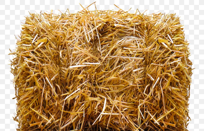 Straw-bale Construction Hay Baler Agriculture, PNG, 800x529px, Strawbale Construction, Agriculture, Avena, Baler, Cereal Download Free