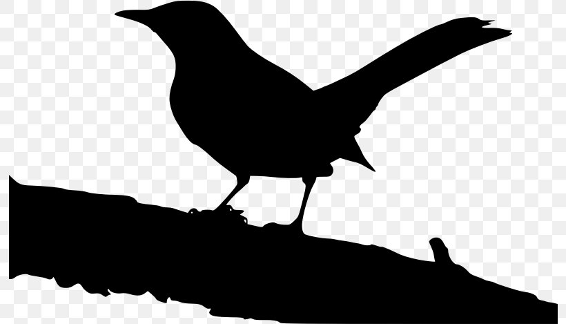 To Kill A Mockingbird Jem Finch Jean Louise 'Scout' Finch Silhouette, PNG, 796x469px, To Kill A Mockingbird, Atticus Finch, Beak, Bird, Black And White Download Free